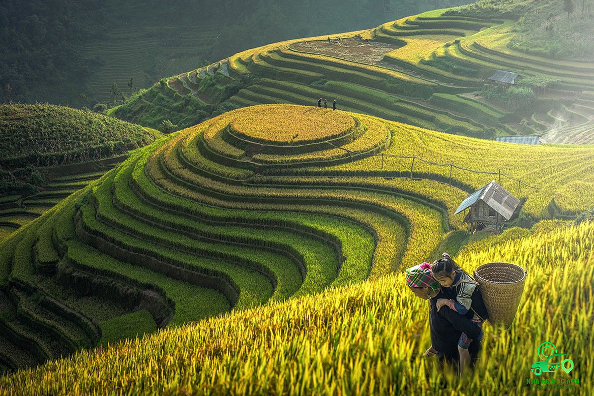 dat-taxi-tu-lao-cai-di-san-bay-noi-bai-79872