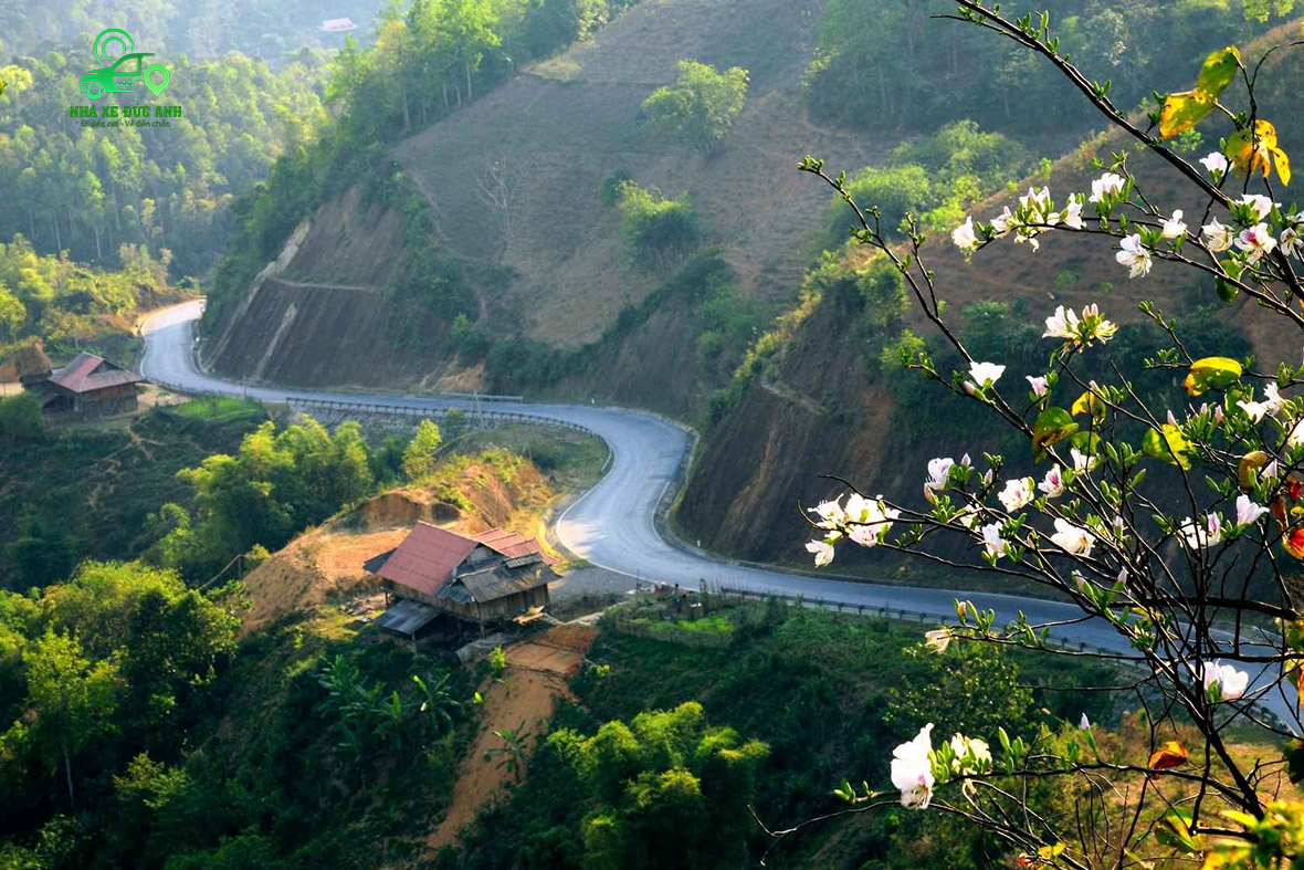 dat-xe-taxi-ha-noi-di-dien-bien-92381