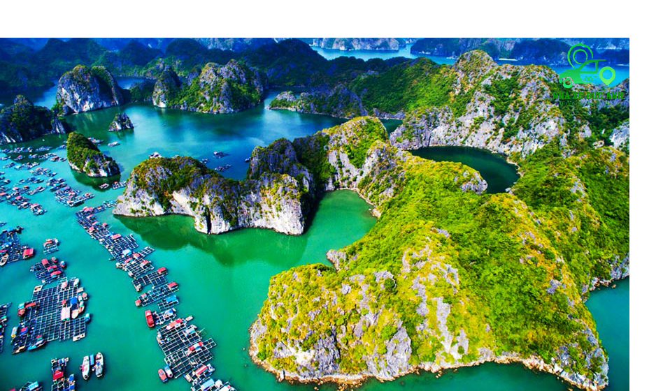 Giới thiệu về Đảo Cát Bà